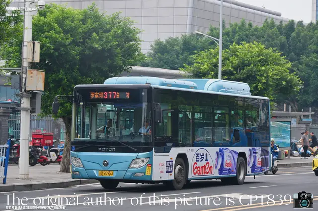 渝D 80953