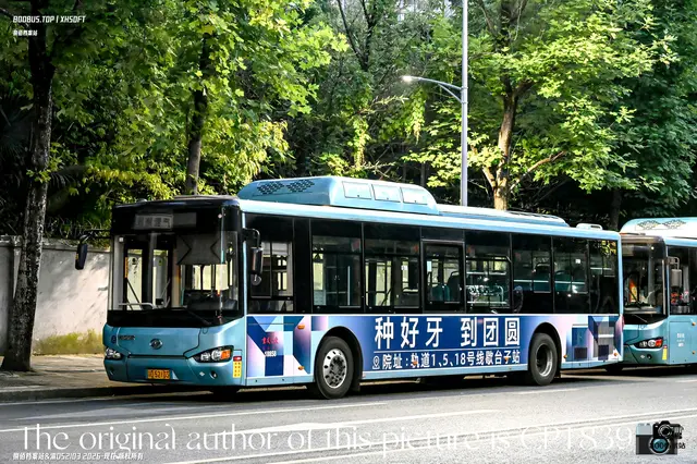 渝D 52103