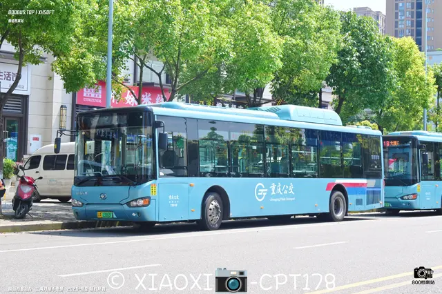 渝A 13868F