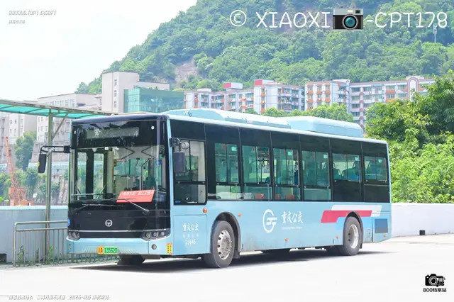 800BUS