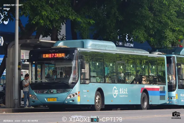 800BUS