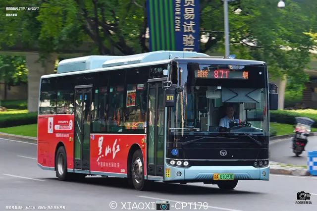 800BUS