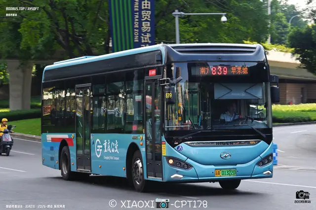 800BUS