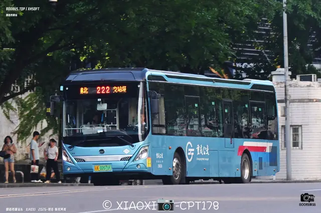 800BUS