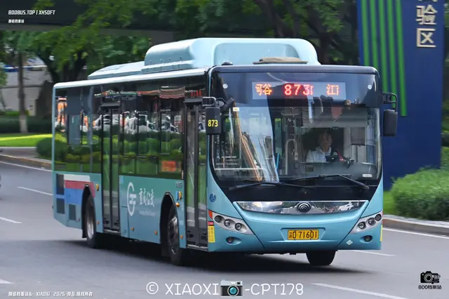 800BUS