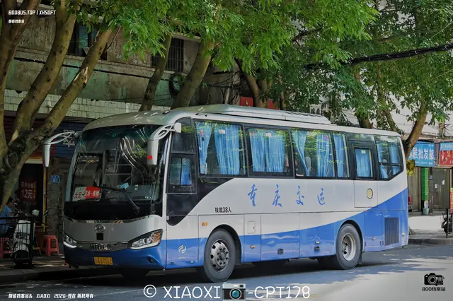 800BUS