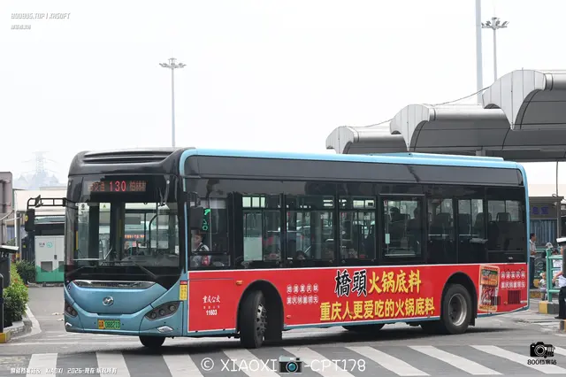 渝A 08821D