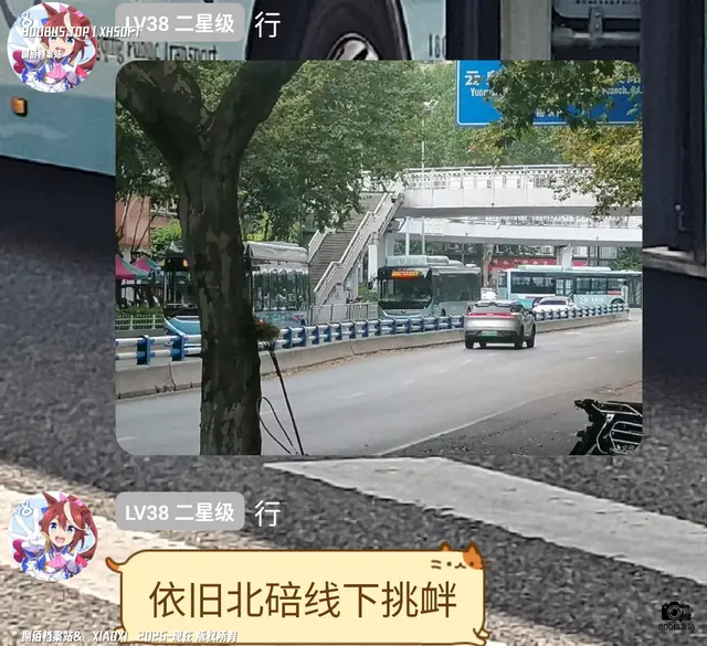 渝S B9178