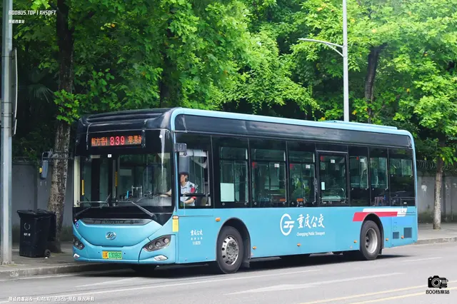 800BUS