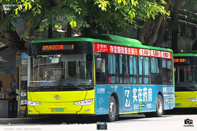 渝A 05636D