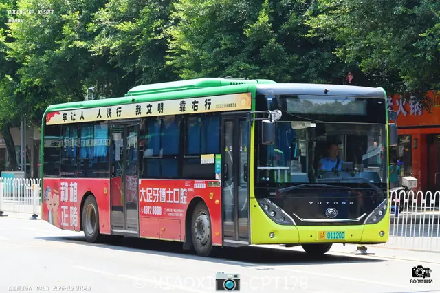 渝A 01120D