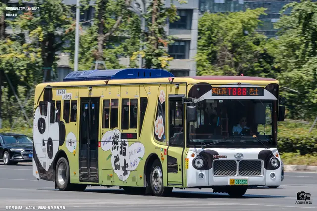 800BUS