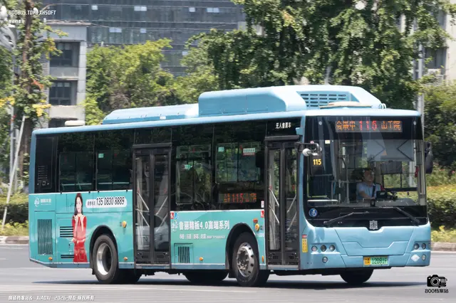 800BUS