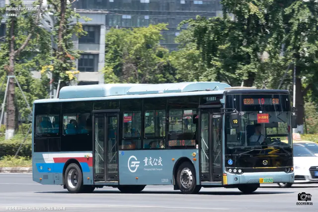 800BUS