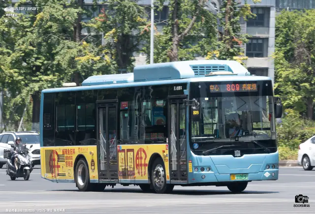 800BUS