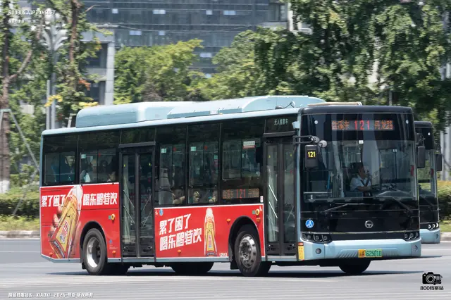 800BUS