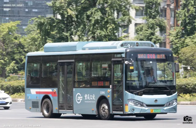 800BUS