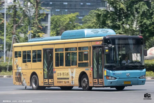 800BUS