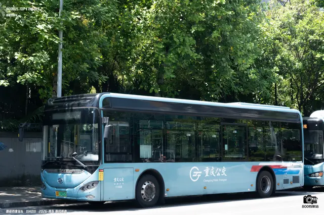 800BUS