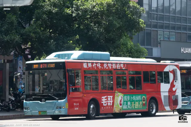 800BUS