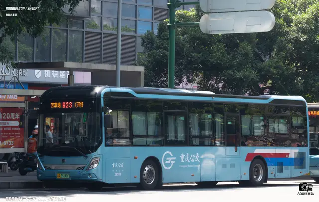 800BUS