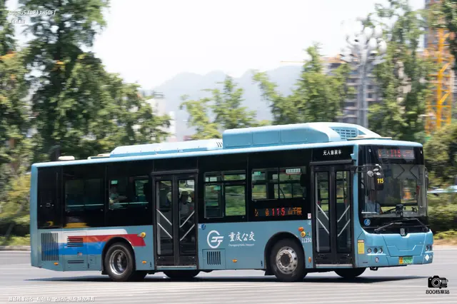 800BUS