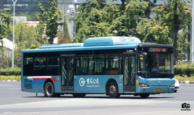 800BUS
