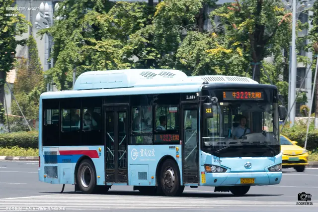 800BUS