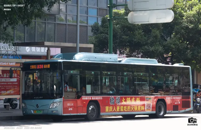 800BUS