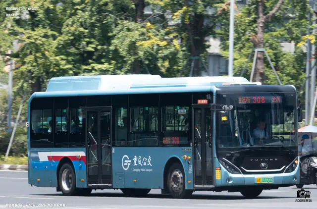 800BUS