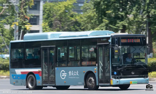 800BUS