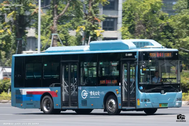 800BUS