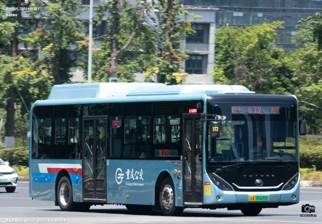 800BUS