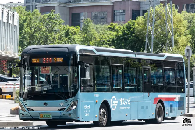 800BUS