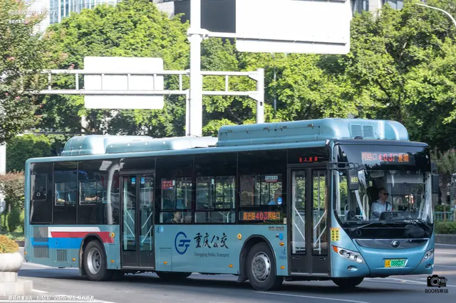 800BUS