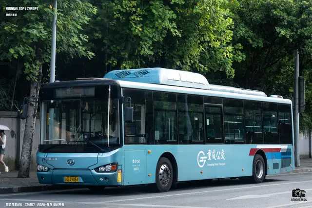 800BUS