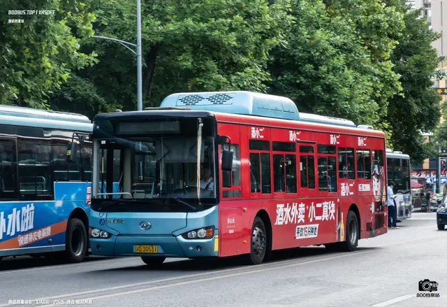 800BUS