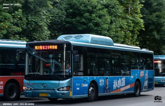 800BUS