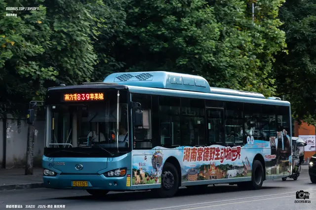 800BUS