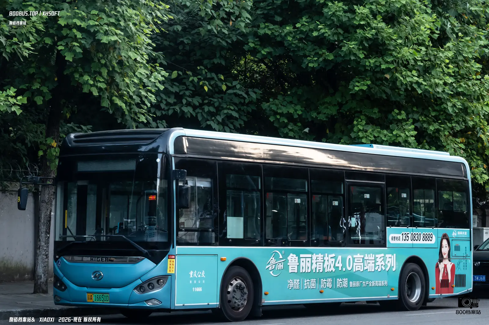 Bus Archive