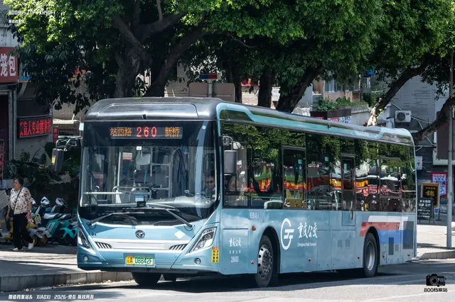 800BUS