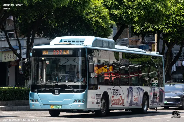 800BUS