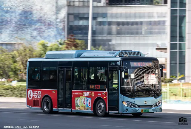 800BUS