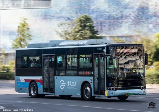 800BUS