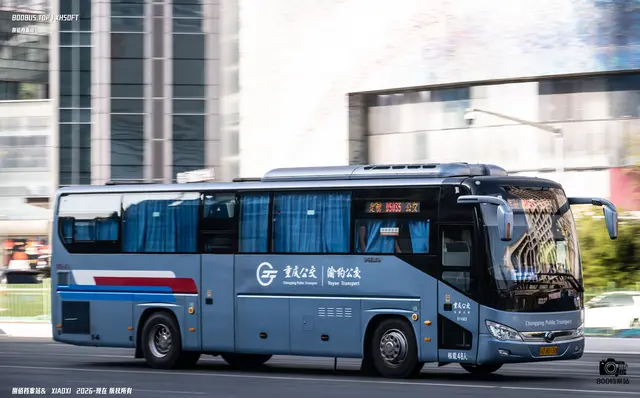 渝D 80150