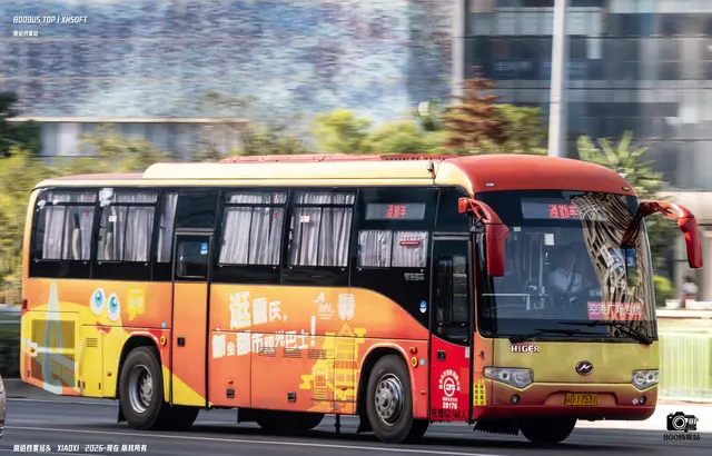 渝D 17531