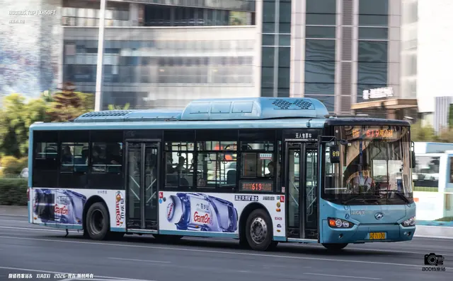 800BUS