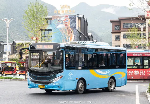 800BUS