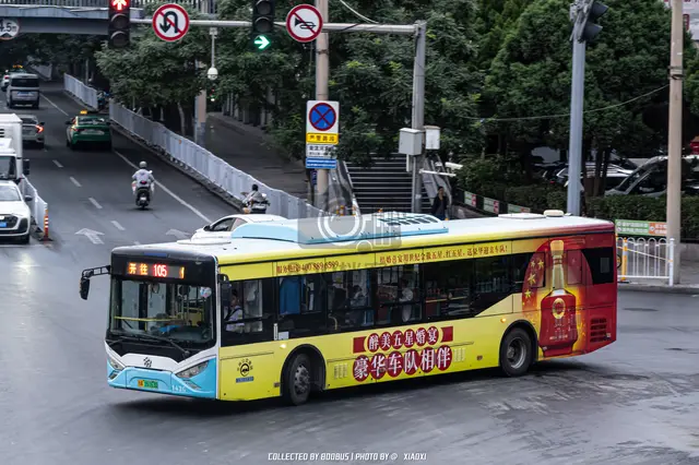 甘A 16163D