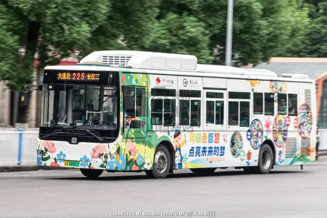 渝A 00801F